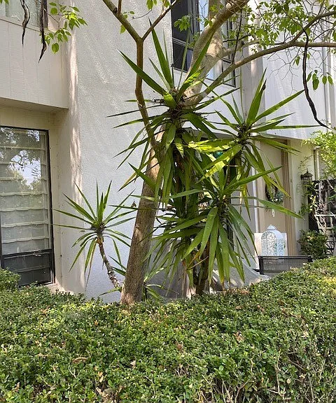 3617 W Hidden Ln #A — Photo 4
