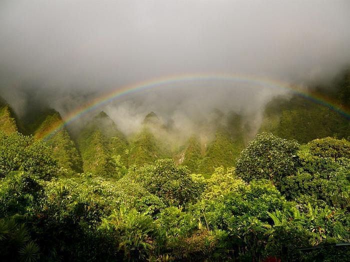 Actual view from the guest studio & lanai
