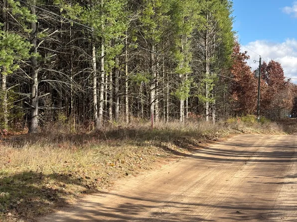 0 W Tamarack Rd, Newaygo, MI 49337