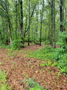 1584 Greendale Rd #11, Covington, GA, 30014