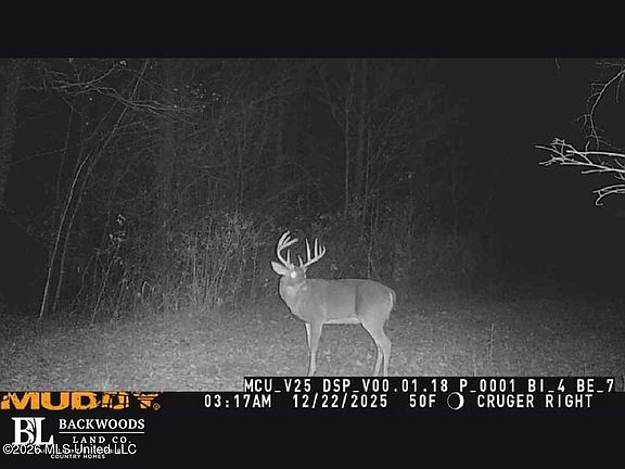 2nd image of 0 Philips Rd