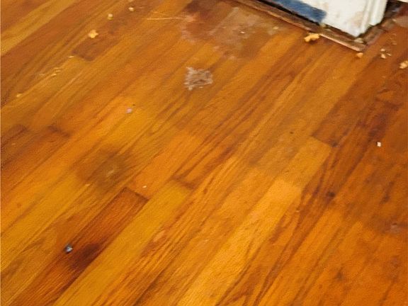 4th image of 302 E Franklin St