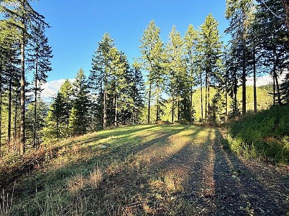 2nd image of Alder Branch Rd