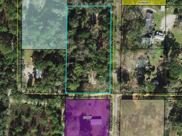 261 Sam Smith Cir, Crawfordville, FL 32327