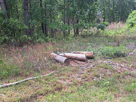 4th image of 460 Grover Wilson Rd