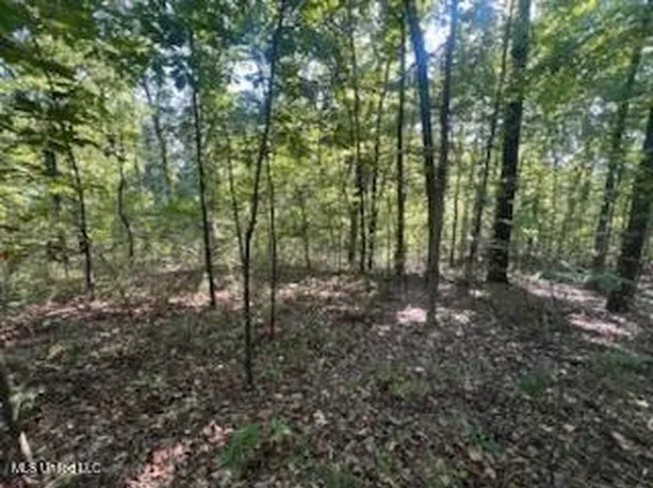 11402 Sequoyah Dr Lot 99, Hernando, MS 38632