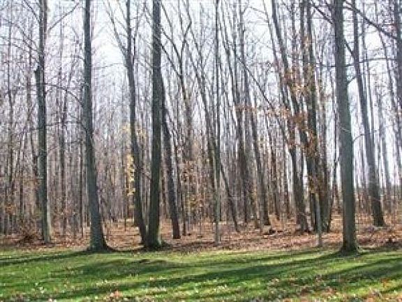 3rd image of 213 Manorbrook Dr