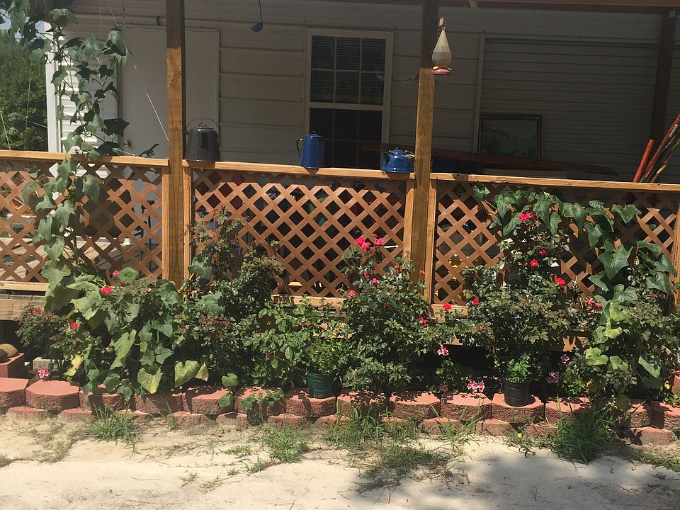 Front of Cabin 
