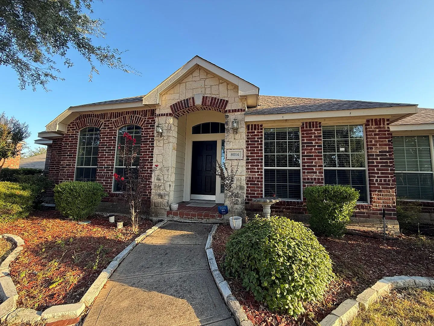 New Rental - Rowlett, TX — Photo 2