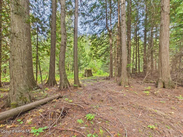 2815 Bear Creek Rd, Kingston, ID 83839