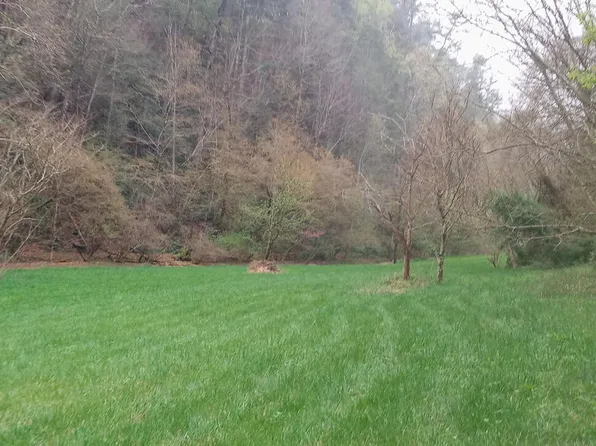 Wilhite Rd, Cosby, TN 37722