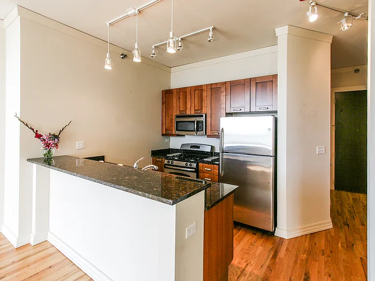 170 W Polk St #802 — Photo 4