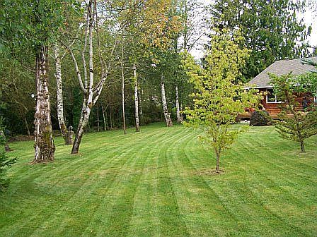 Beautiful landscaping