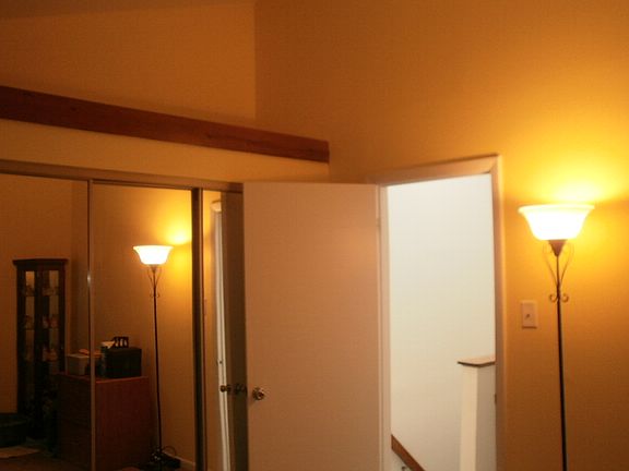 Bedrom w/Vaulted Ceiling