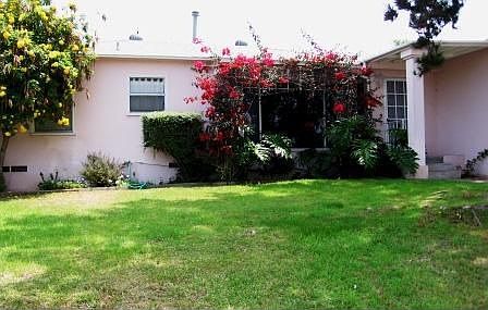 Charming Bouganvilla