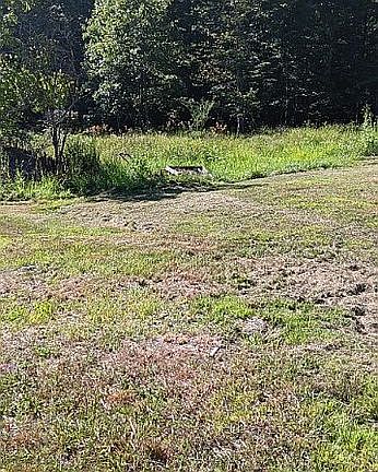 3rd image of 50 McCune Dr