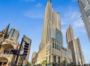 132 E Delaware Pl APT 4805, Chicago, IL 60611