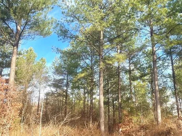 730 Timber Creek Trl, Broken Bow, OK 74728