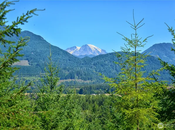 1 Skinner Road, Randle, WA 98377