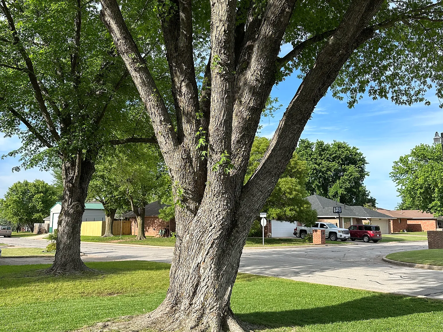 3 bed, 1270 sqft, $1,450 — Photo 3