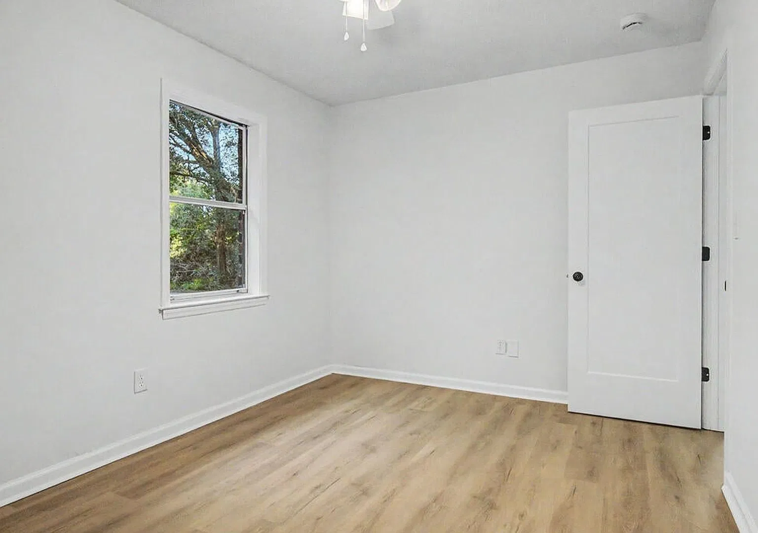 Newly Remodeled! — Photo 4