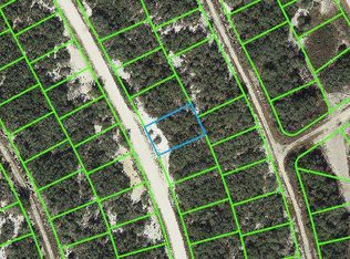 217 Hopedale DRIVE LOT 33, LAKE PLACID, FL 33852