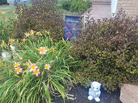 Beautifully Landscaped