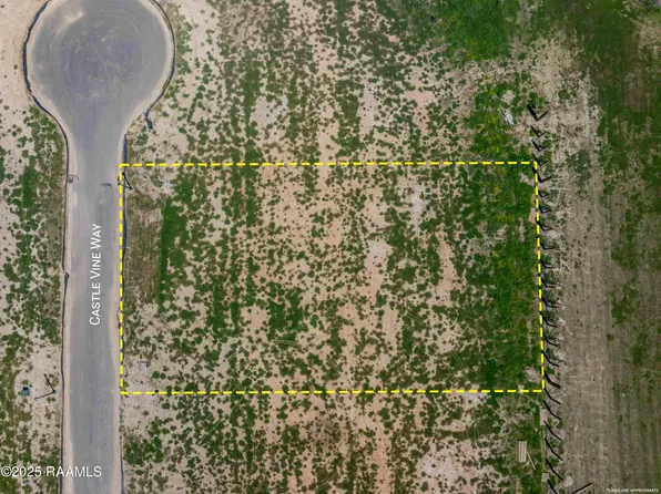 304 Castle Vine Way, Lafayette, LA 70508