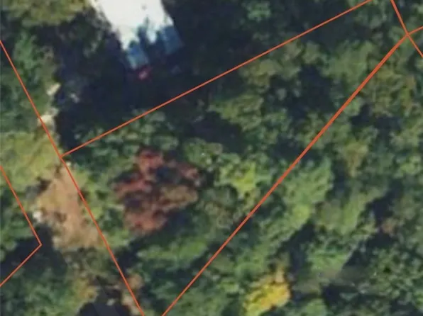 2916 Mountclair Rd, Chester, VA 23831