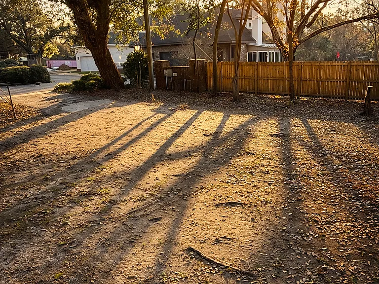 Pinehill Dr — Photo 11