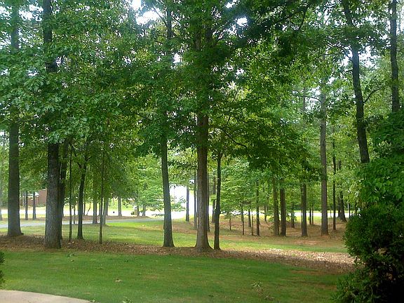 View from front porch