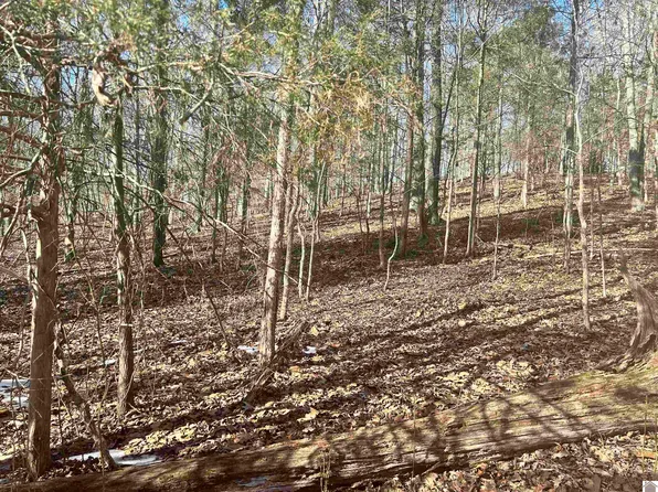 Lots 34&35 Canton Hts #2, Cadiz, KY 42211