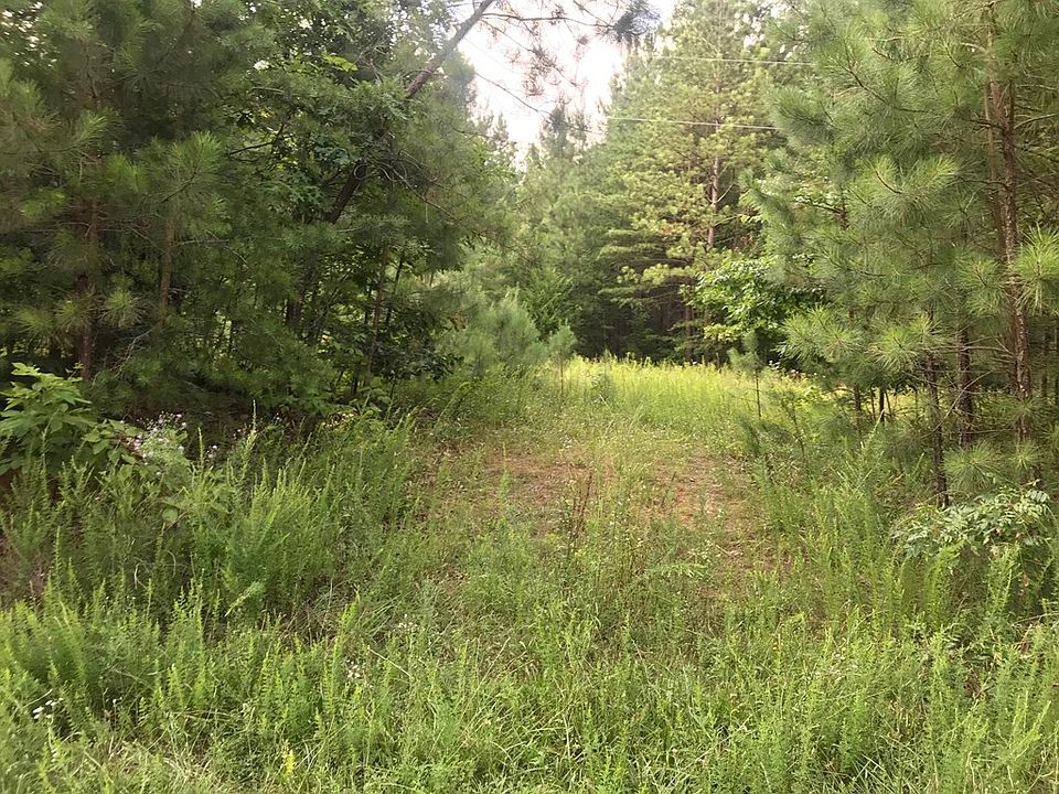 2nd image of 711 Community Rd