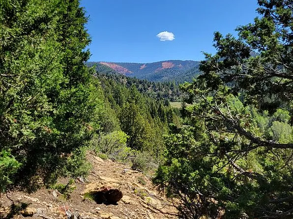 LOT 368 N Fork Rd, Duck Creek Village, UT 84762