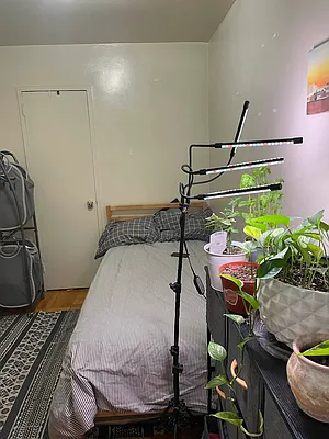 Rented by City Connections Realty | media 5