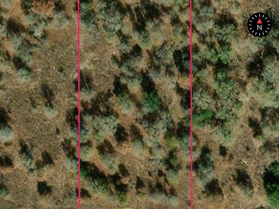 5th image of TRACT 4 1580 Hickory Lane LOT 4