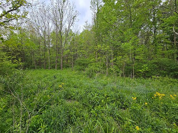 2nd image of 0 N Delaware Rd