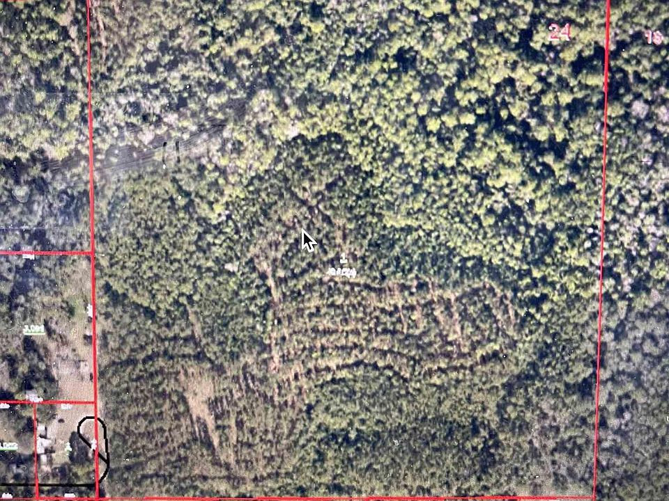 2nd image of Downing Rd