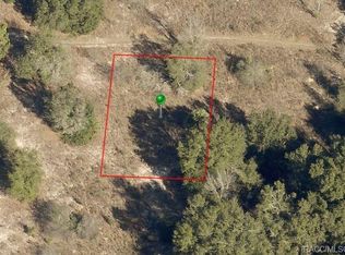 2411 Reagan St, Inverness, FL 34453