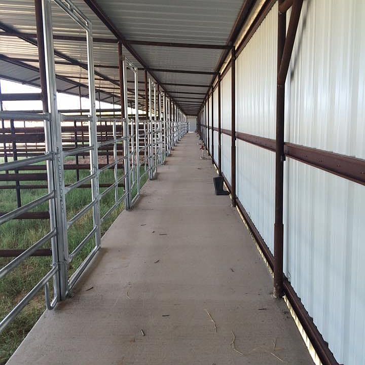 Barn w/ runs 12'X28'
