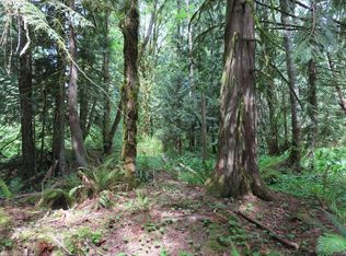 John Rd, Napavine, WA 98532