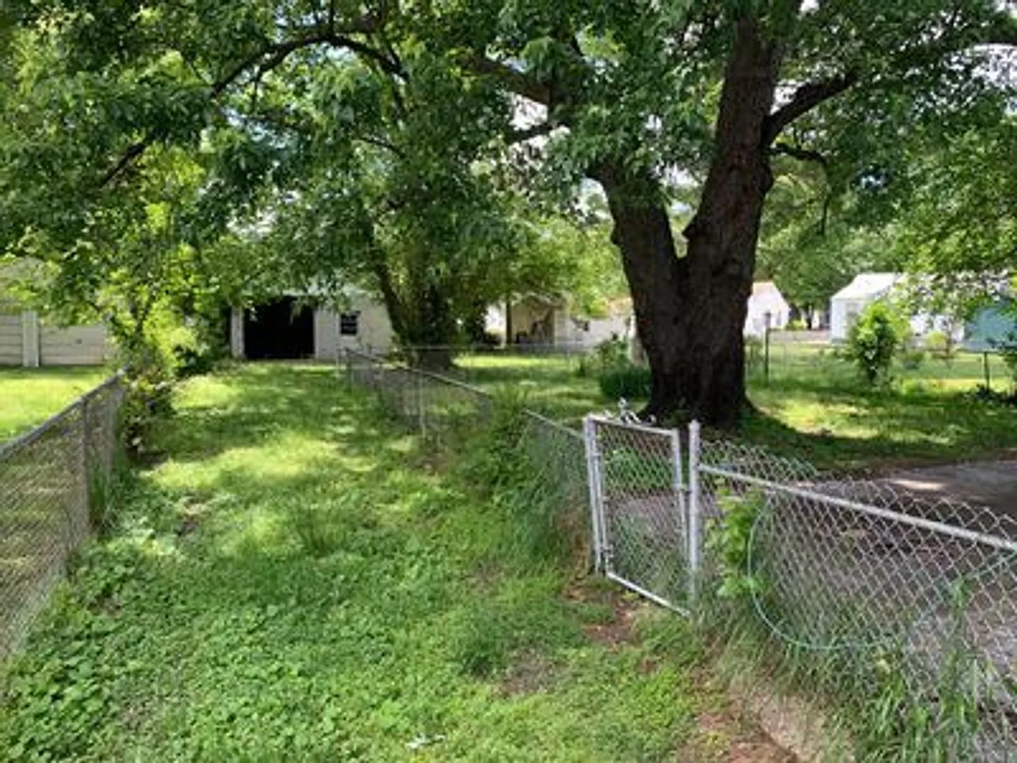 3 bed 1 bath House in central Richmond — Photo 4