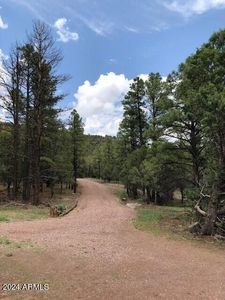 2 County Road 2331 N, Nutrioso, AZ, 85932