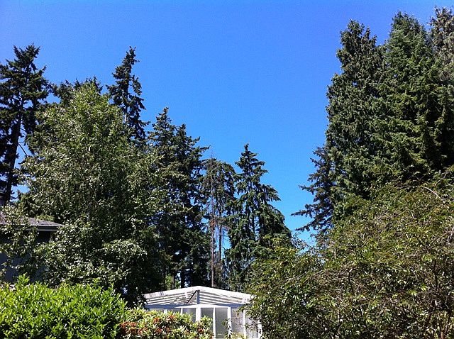 2nd image of 4214 NE 169th Ct