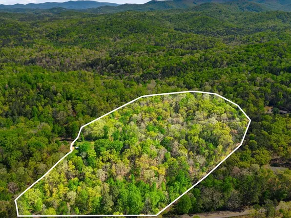 1933 Highway 136 W, Talking Rock, GA 30175