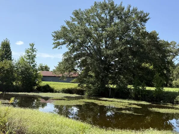 1289 Campsprings Rd, Hemphill, TX 75948