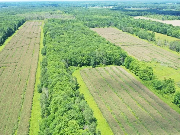 Stanhope Kelloggsville Rd, Dorset, OH 44032