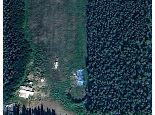 NW L2 Clearwater Lake Rd, Delta Junction, AK 99737