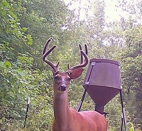 3rd image of 1530 Old Middleton Rd