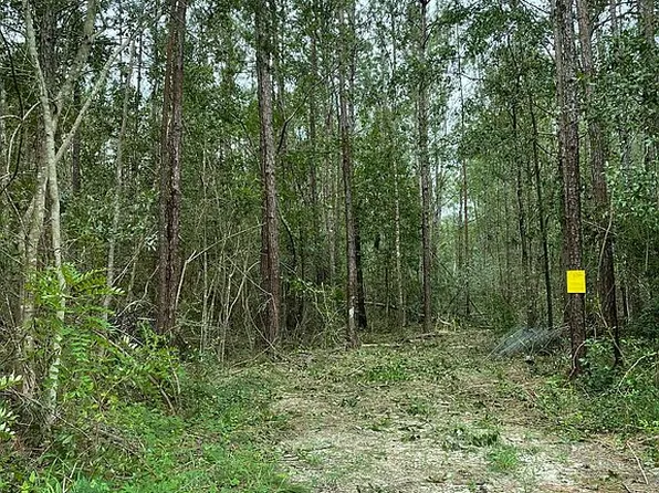 30283 N Dixie Ranch Rd, Lacombe, LA 70445
